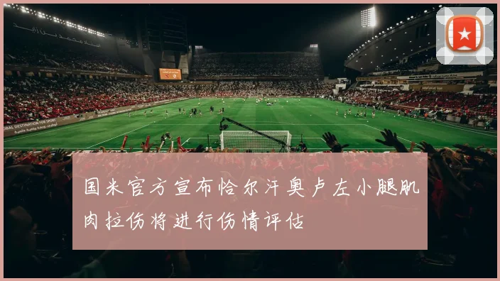 国米官方宣布恰尔汗奥卢左小腿肌肉拉伤将进行伤情评估
